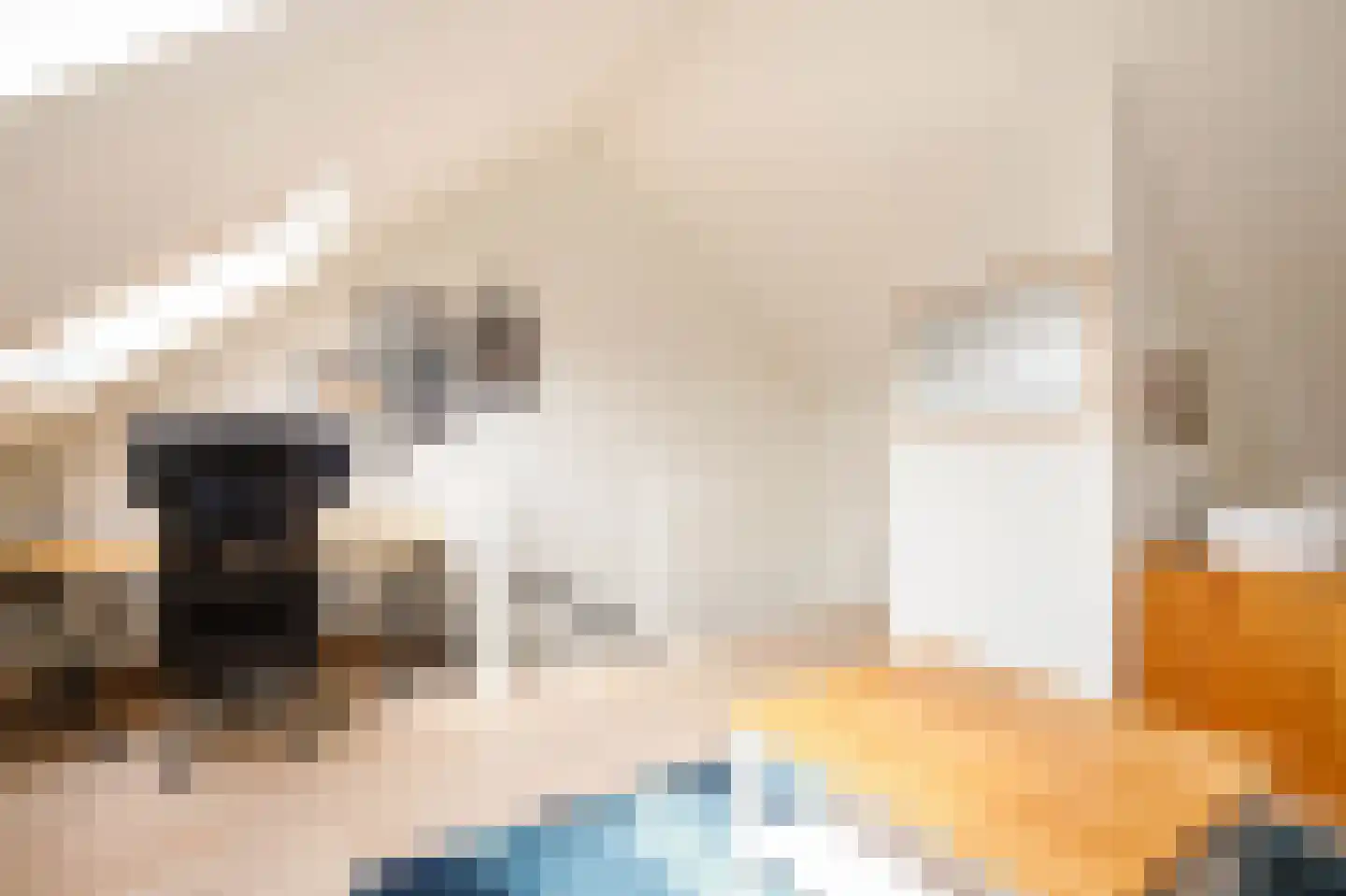 Verdipad 32 Nieuwerkerk aan den IJssel thumbnail 27