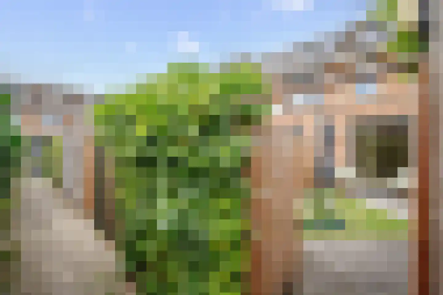Verdipad 32 Nieuwerkerk aan den IJssel thumbnail 39