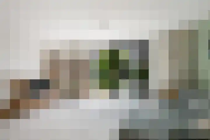 Verdipad 36 Nieuwerkerk aan den IJssel thumbnail 4