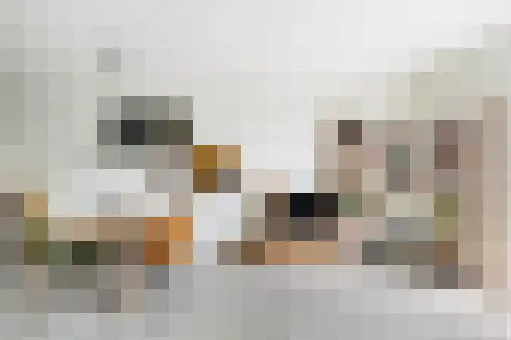 Verdipad 36 Nieuwerkerk aan den IJssel thumbnail 7