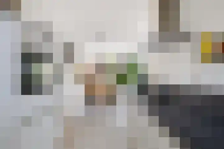 Verdipad 36 Nieuwerkerk aan den IJssel thumbnail 8