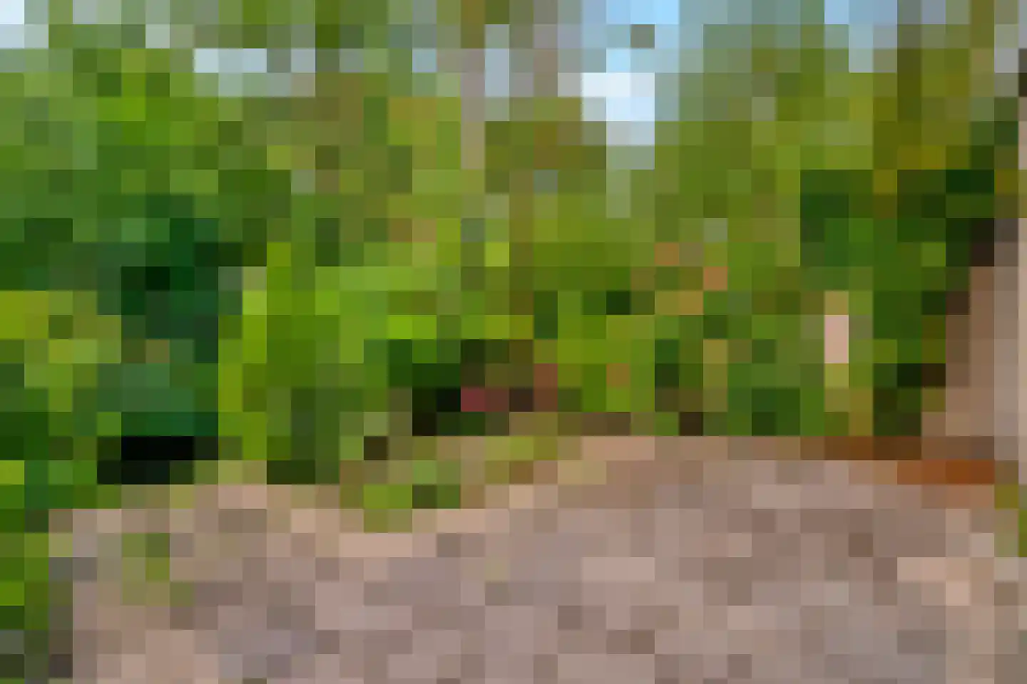 Verdiplein 2 Delft thumbnail 13