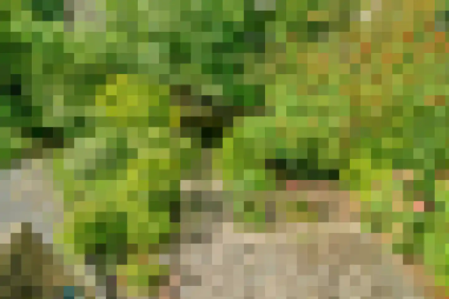 Verdiplein 2 Delft thumbnail 30