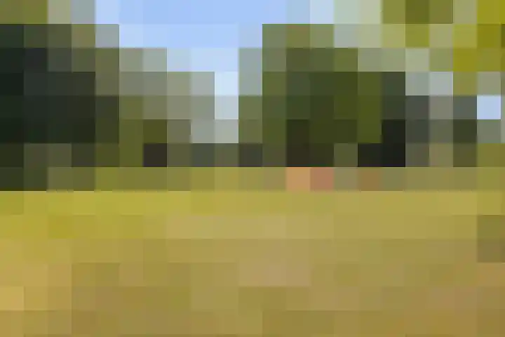 Verdiplein 79 a Tilburg thumbnail 46
