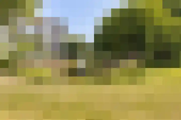 Verdiplein 79 a Tilburg thumbnail 47