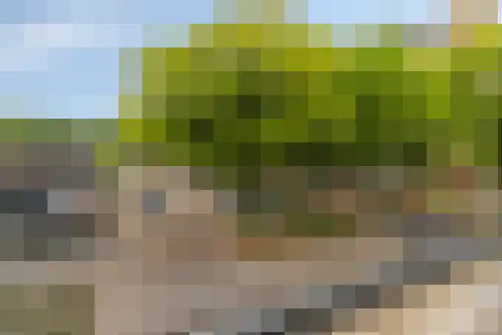 Verdiplein 80 b Tilburg thumbnail 5