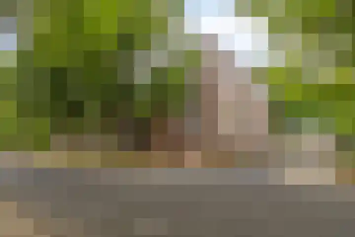 Verdiplein 80 b Tilburg thumbnail 9