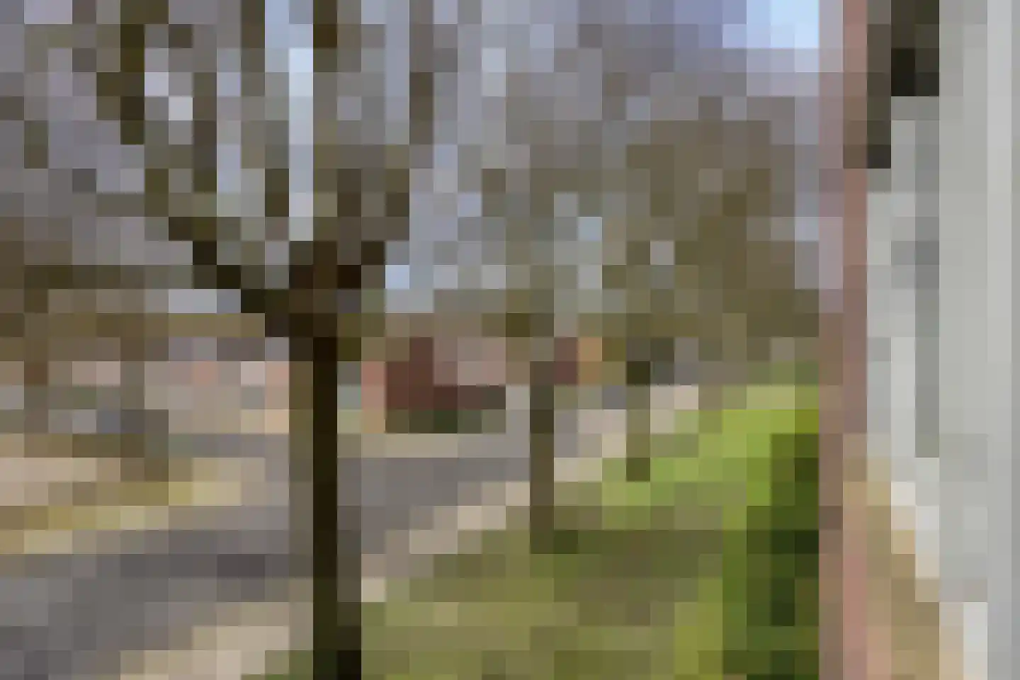 Verdiplein 80 c Tilburg thumbnail 16