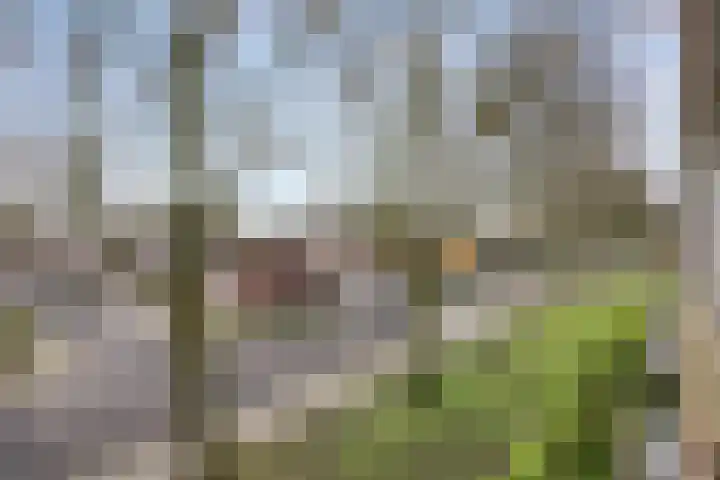 Verdiplein 80 c Tilburg thumbnail 19