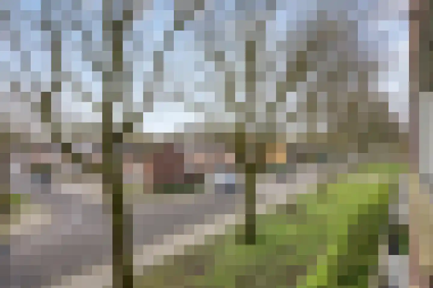 Verdiplein 80 c Tilburg thumbnail 20