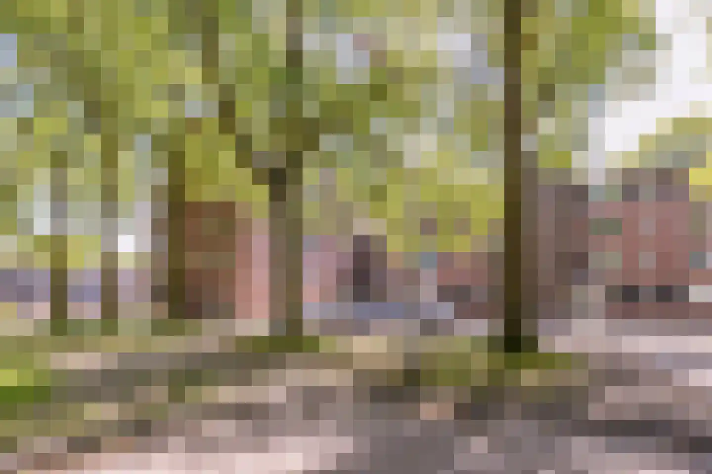 Verdiplein 81 c Tilburg thumbnail 40