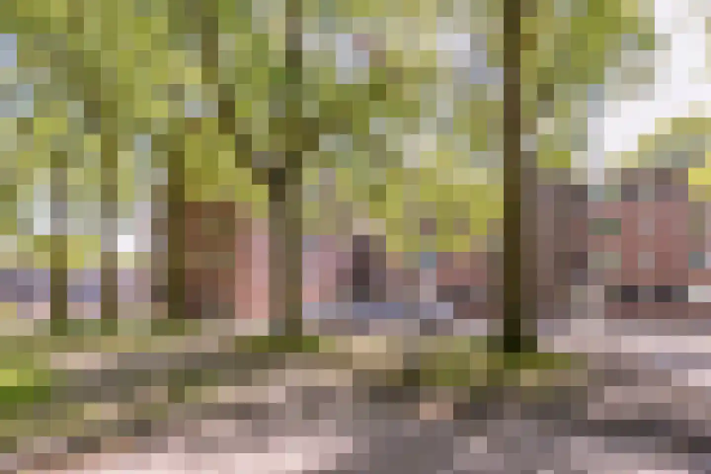 Verdiplein 81 c Tilburg thumbnail 40