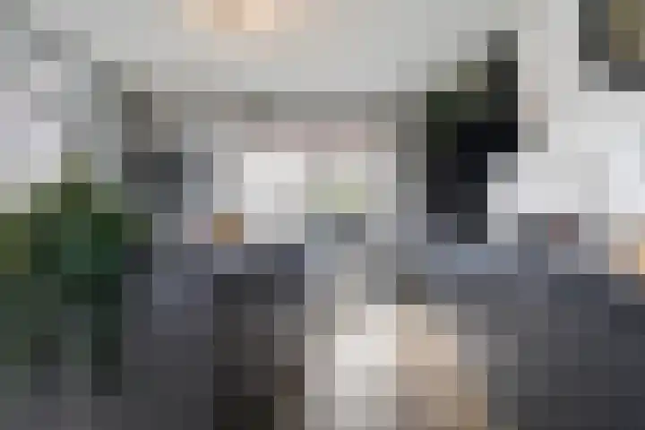 Verdiplein 83 b Tilburg thumbnail 29