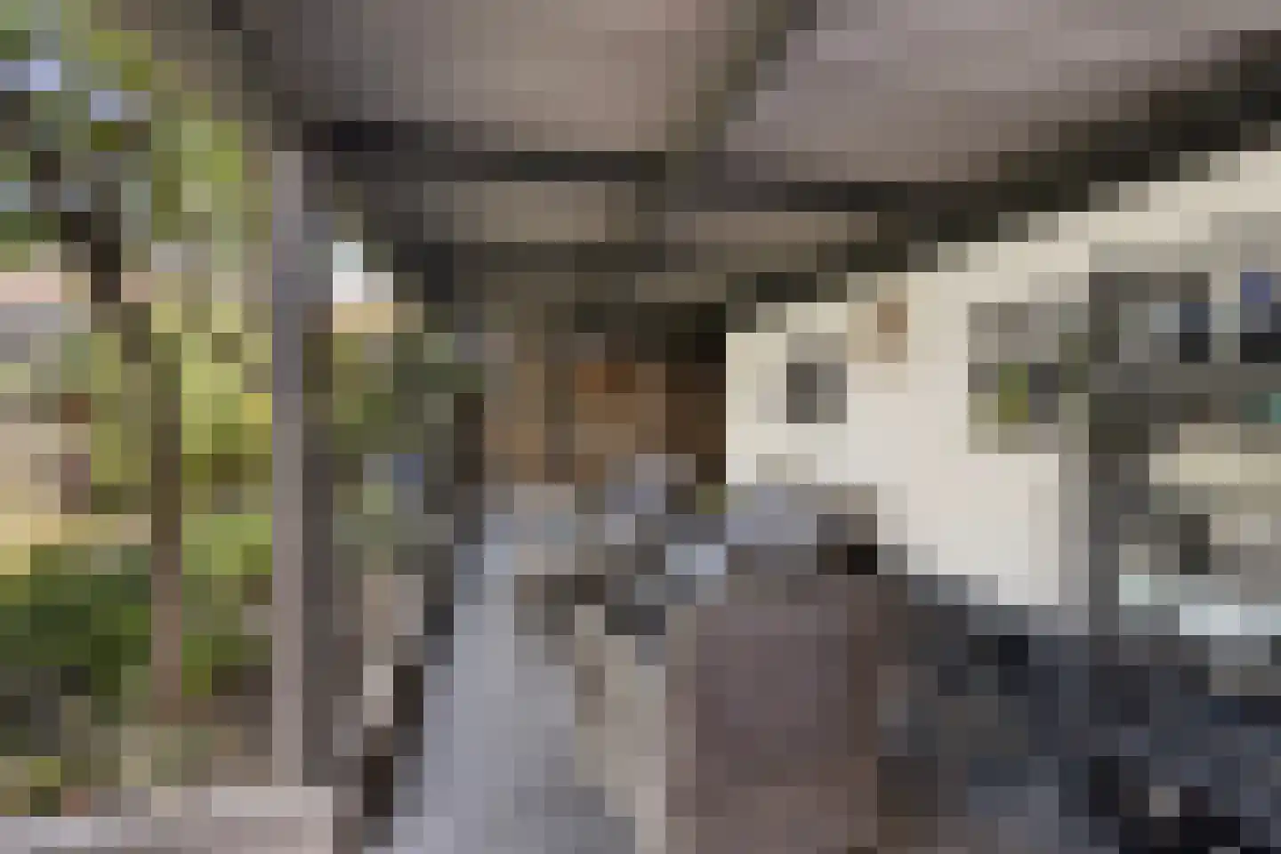 Verdistraat 1 Haaksbergen thumbnail 24