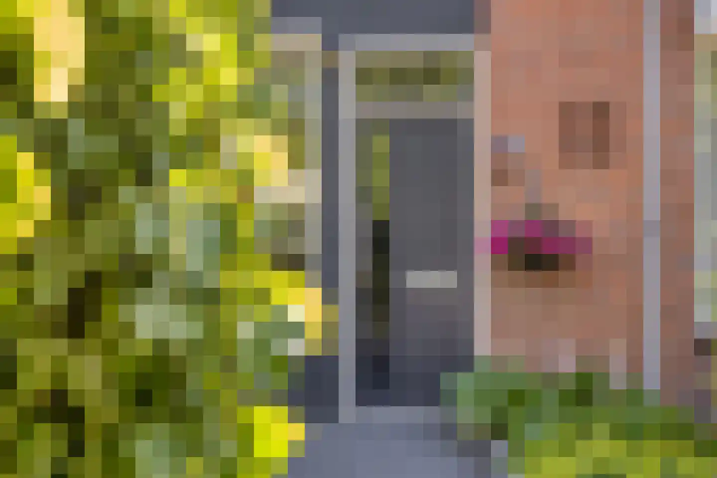 Verdistraat 1 Haaksbergen thumbnail 6