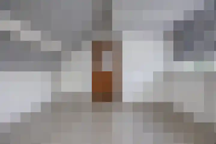 Verdistraat 10 Bergen op Zoom thumbnail 33