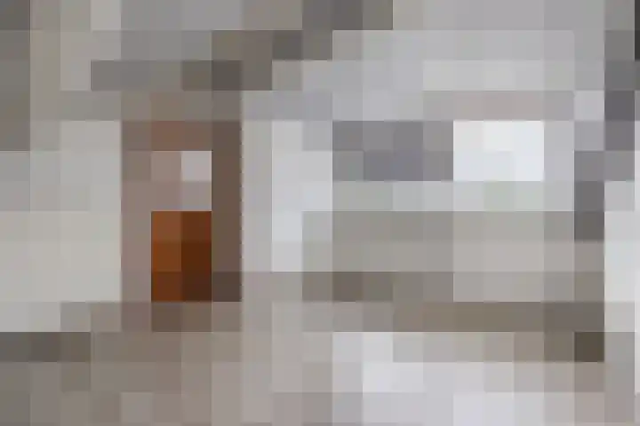 Verdistraat 10 Bergen op Zoom thumbnail 34