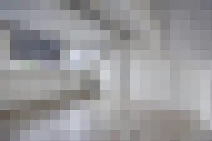 Verdistraat 10 Bergen op Zoom thumbnail 37