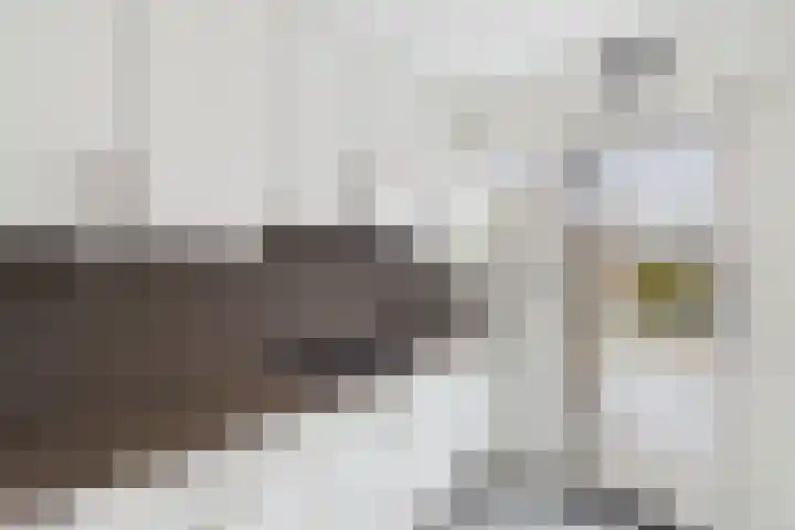 Verdistraat 10 Hulst thumbnail 16
