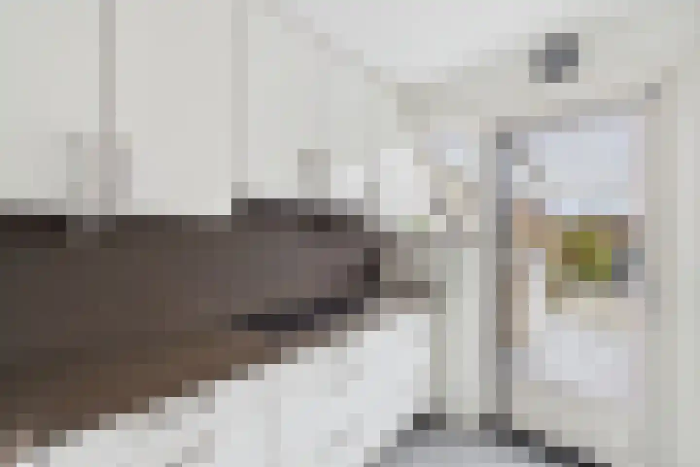 Verdistraat 10 Hulst thumbnail 16