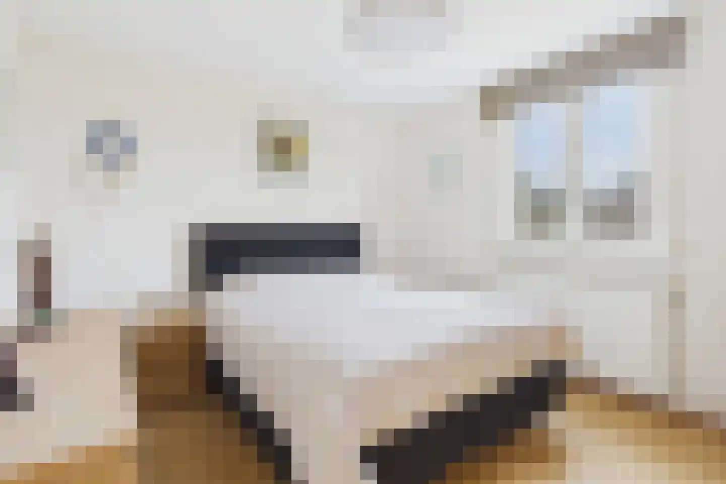 Verdistraat 10 Hulst thumbnail 22