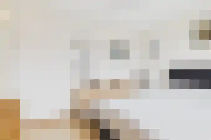 Verdistraat 10 Hulst thumbnail 23