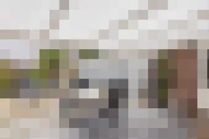 Verdistraat 10 Hulst thumbnail 33