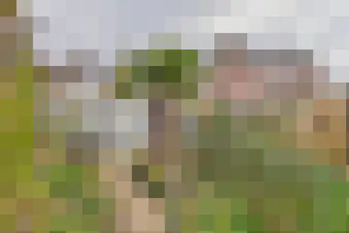Verdistraat 10 Hulst thumbnail 35
