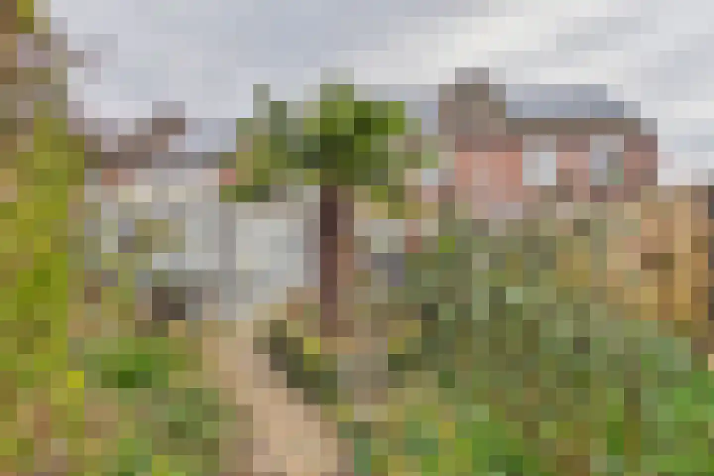 Verdistraat 10 Hulst thumbnail 35
