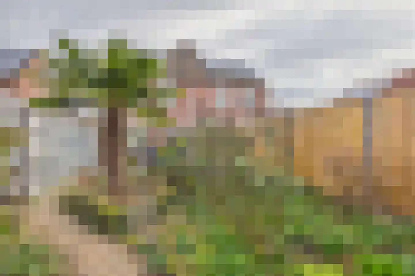 Verdistraat 10 Hulst thumbnail 36