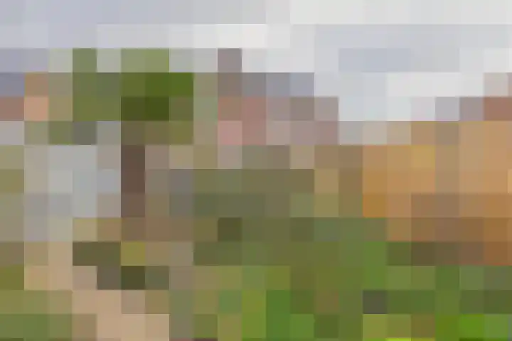 Verdistraat 10 Hulst thumbnail 36