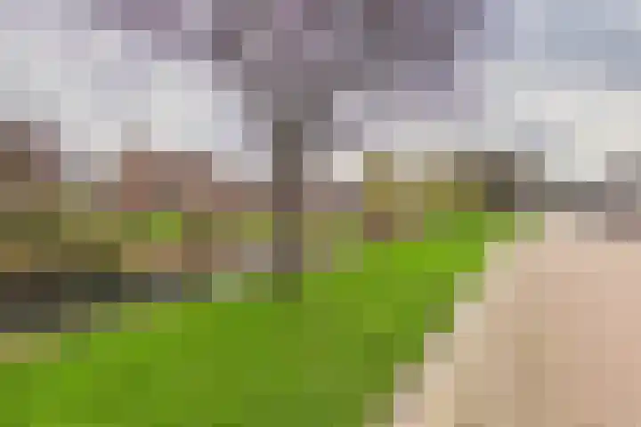 Verdistraat 10 Hulst thumbnail 40