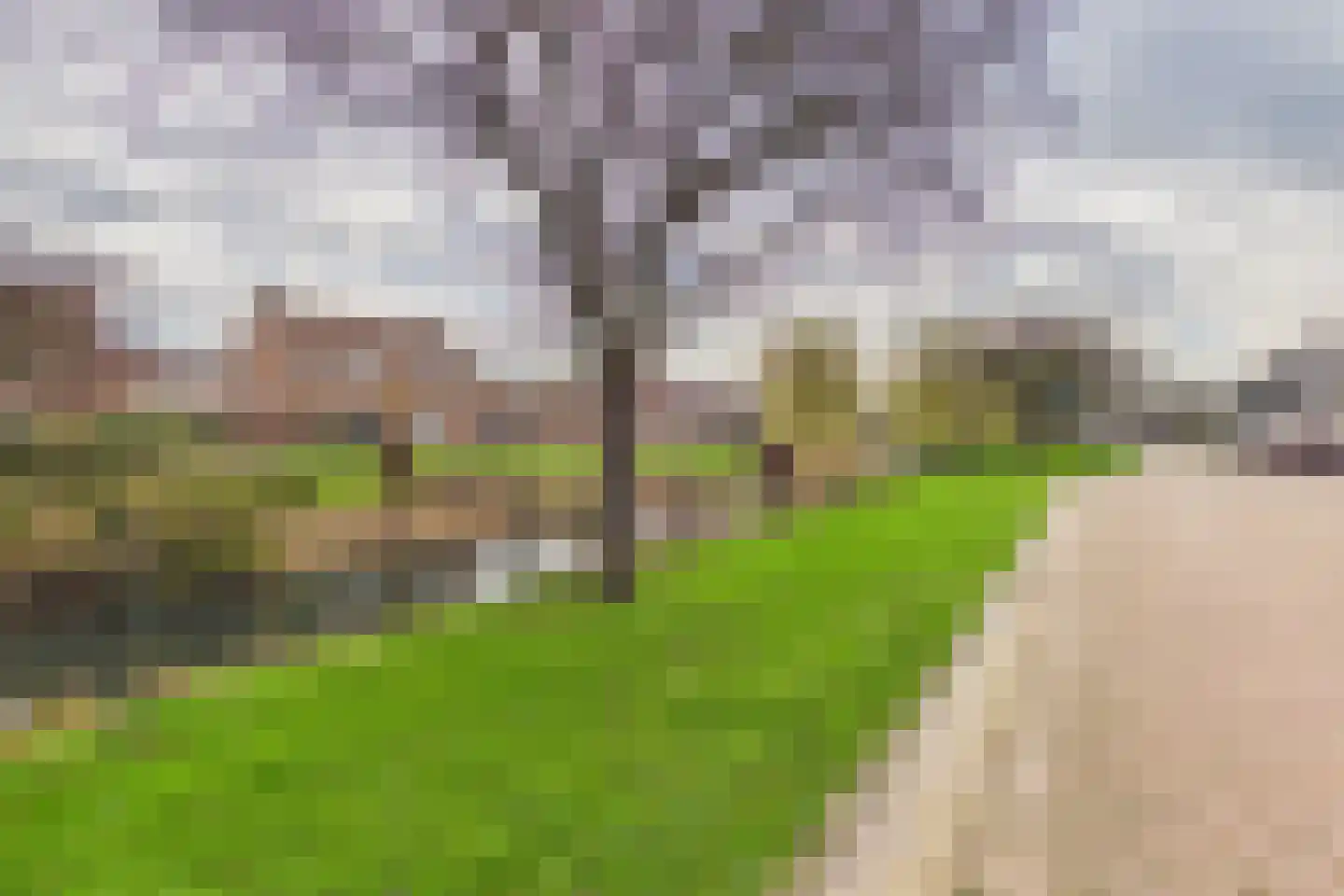 Verdistraat 10 Hulst thumbnail 40