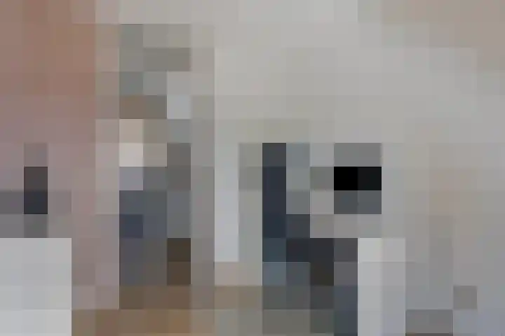 Verdistraat 11 Capelle aan den IJssel thumbnail 19