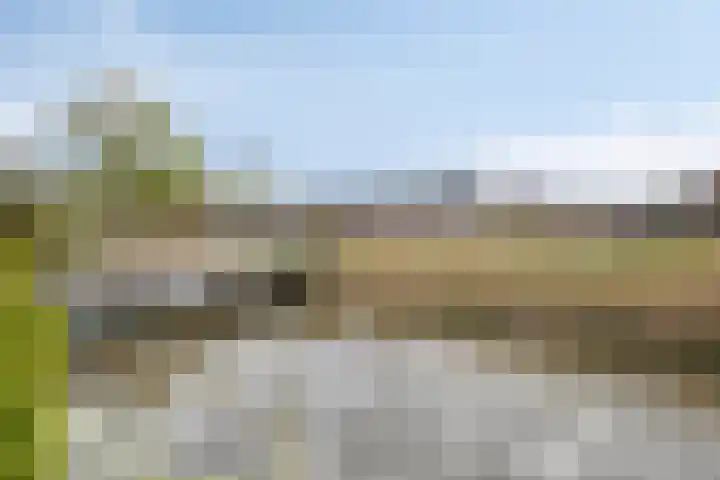 Verdistraat 11 Capelle aan den IJssel thumbnail 30