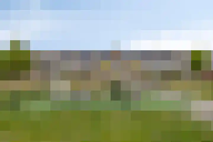 Verdistraat 11 Capelle aan den IJssel thumbnail 32