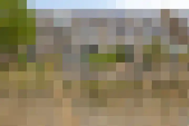 Verdistraat 11 Capelle aan den IJssel thumbnail 33