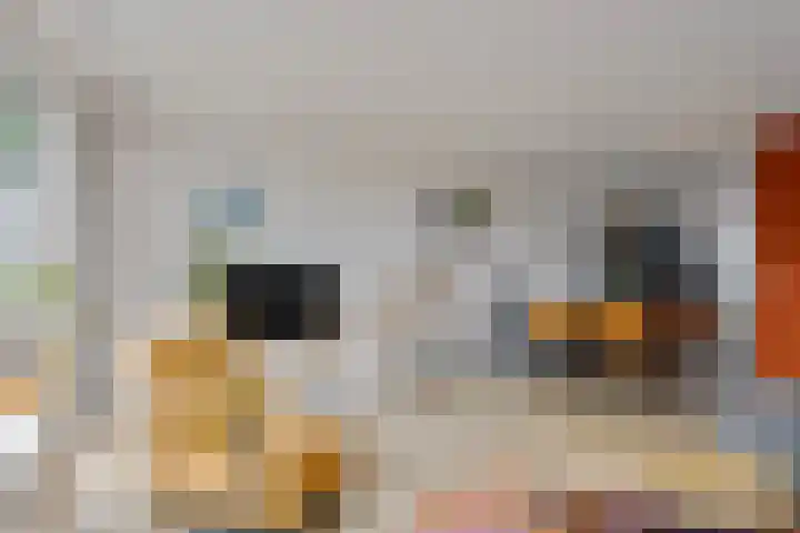 Verdistraat 11 Capelle aan den IJssel thumbnail 9