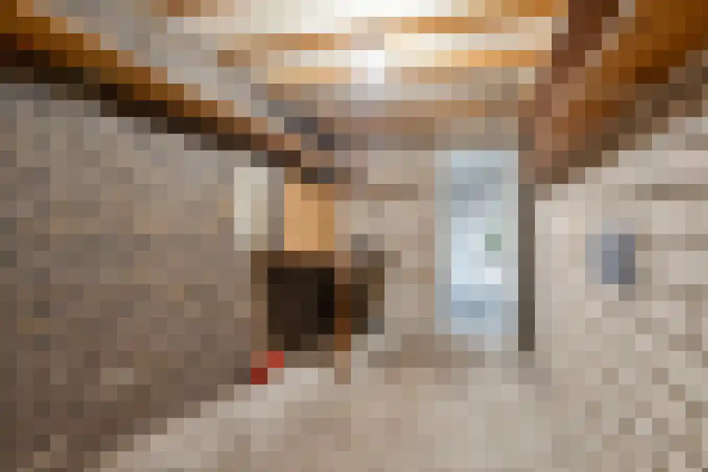 Verdistraat 127 Bunschoten-Spakenburg thumbnail 28