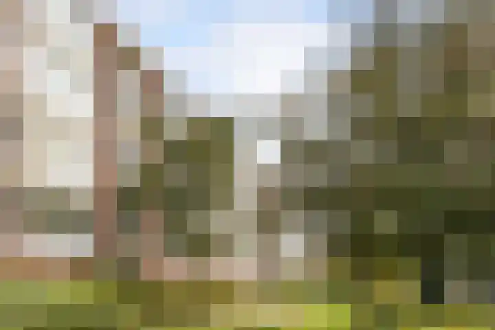 Verdistraat 139 Leiden thumbnail 23