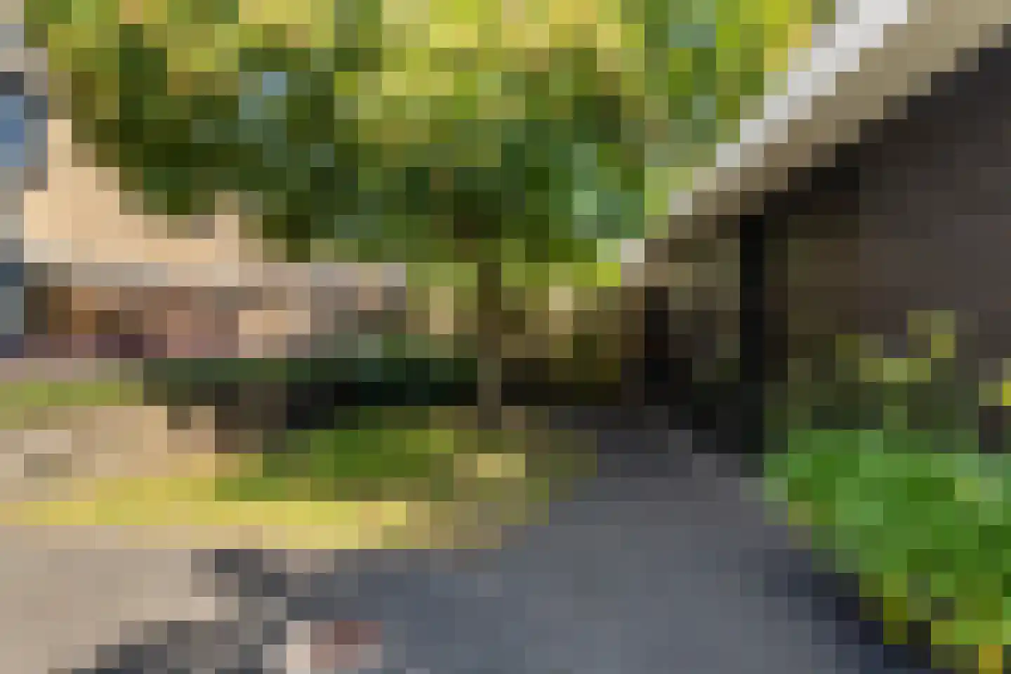 Verdistraat 14 Alkmaar thumbnail 20