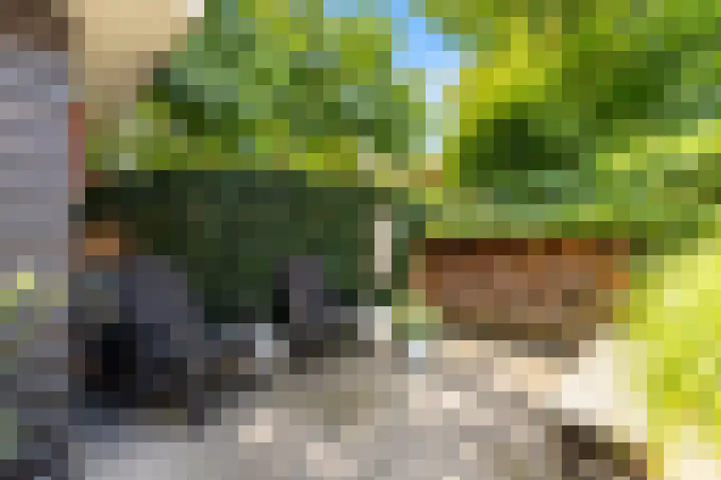 Verdistraat 14 Alkmaar thumbnail 22