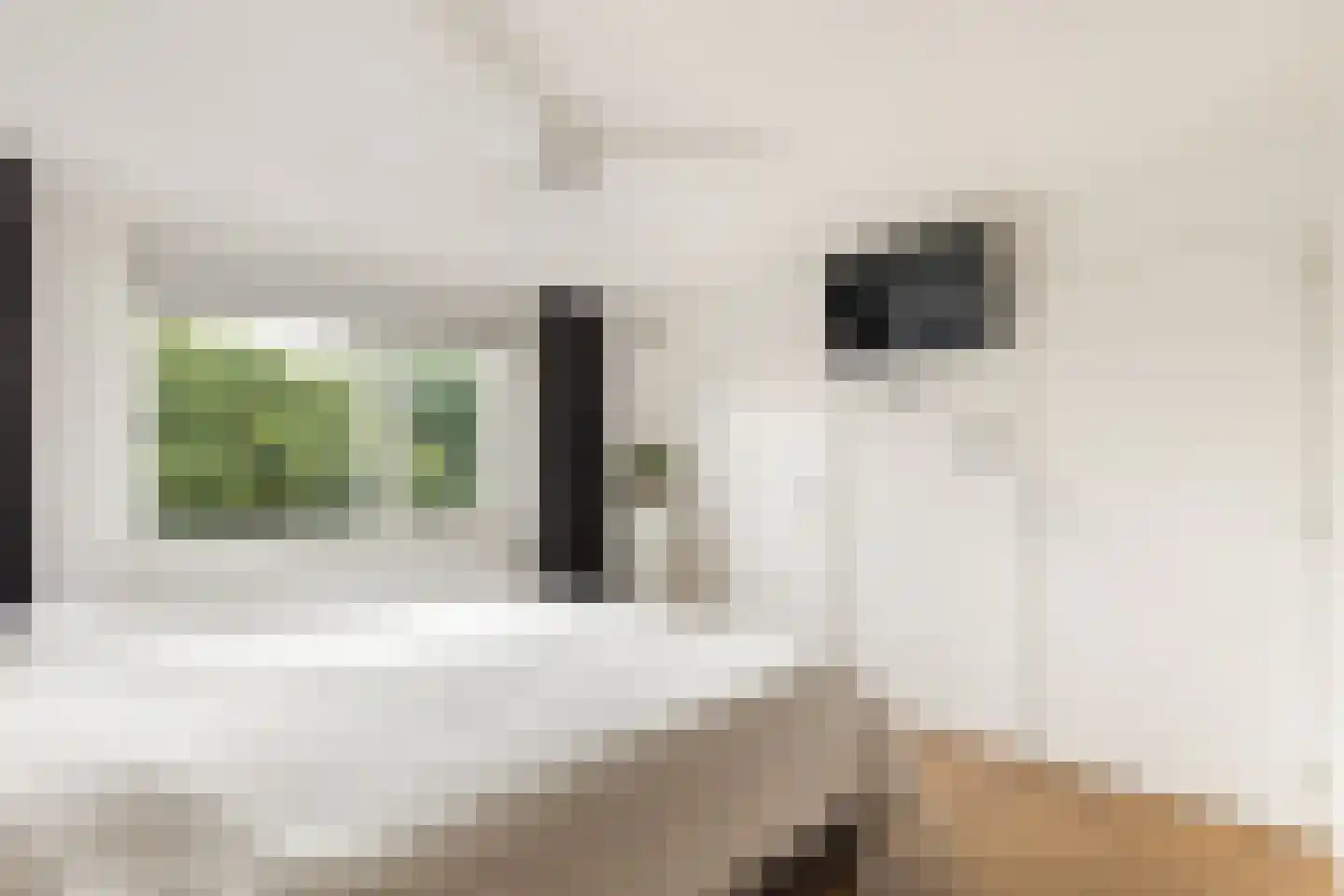 Verdistraat 14 Alkmaar thumbnail 29