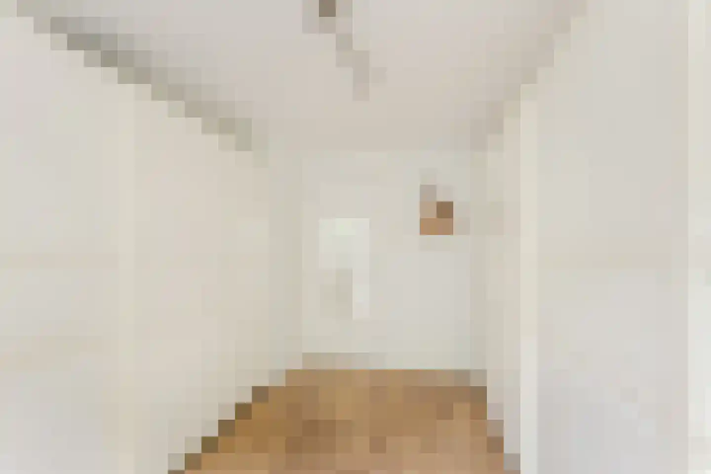 Verdistraat 14 Alkmaar thumbnail 36