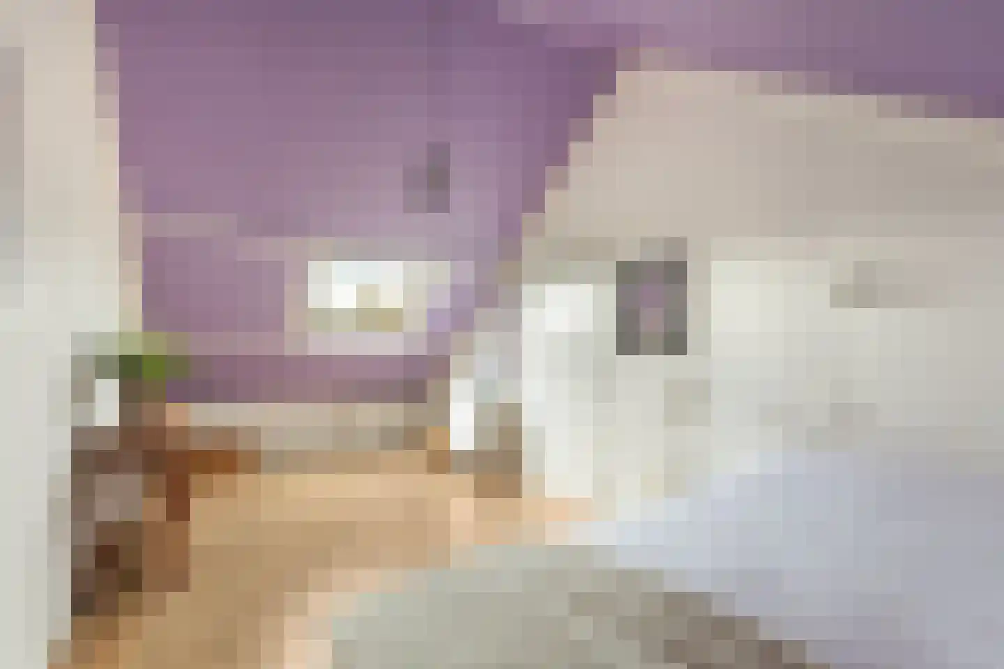 Verdistraat 14 Alkmaar thumbnail 38