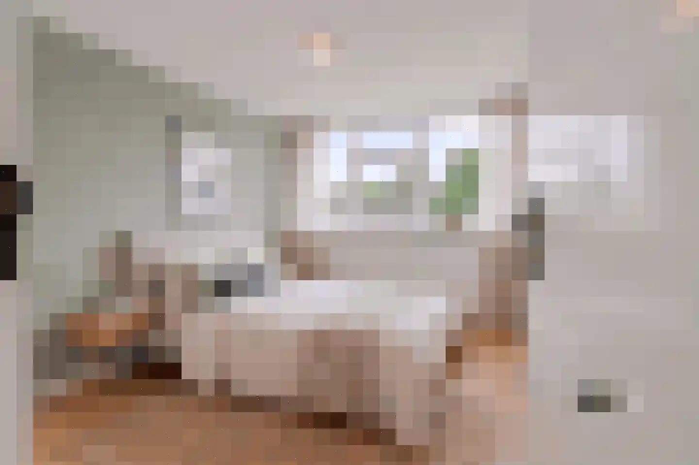 Verdistraat 148 Oss thumbnail 42