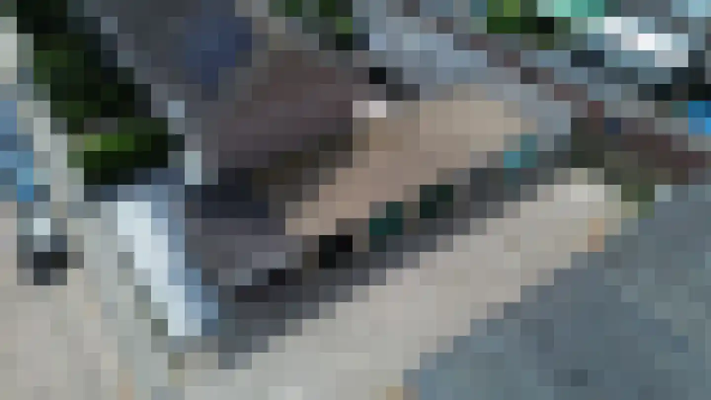Verdistraat 15 Dongen thumbnail 4
