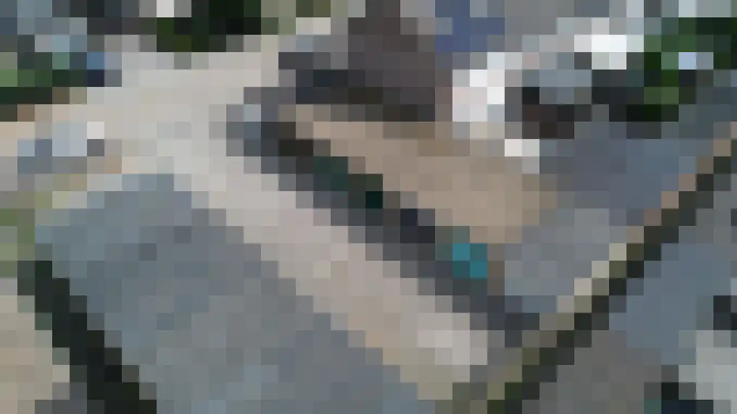 Verdistraat 15 Dongen thumbnail 5