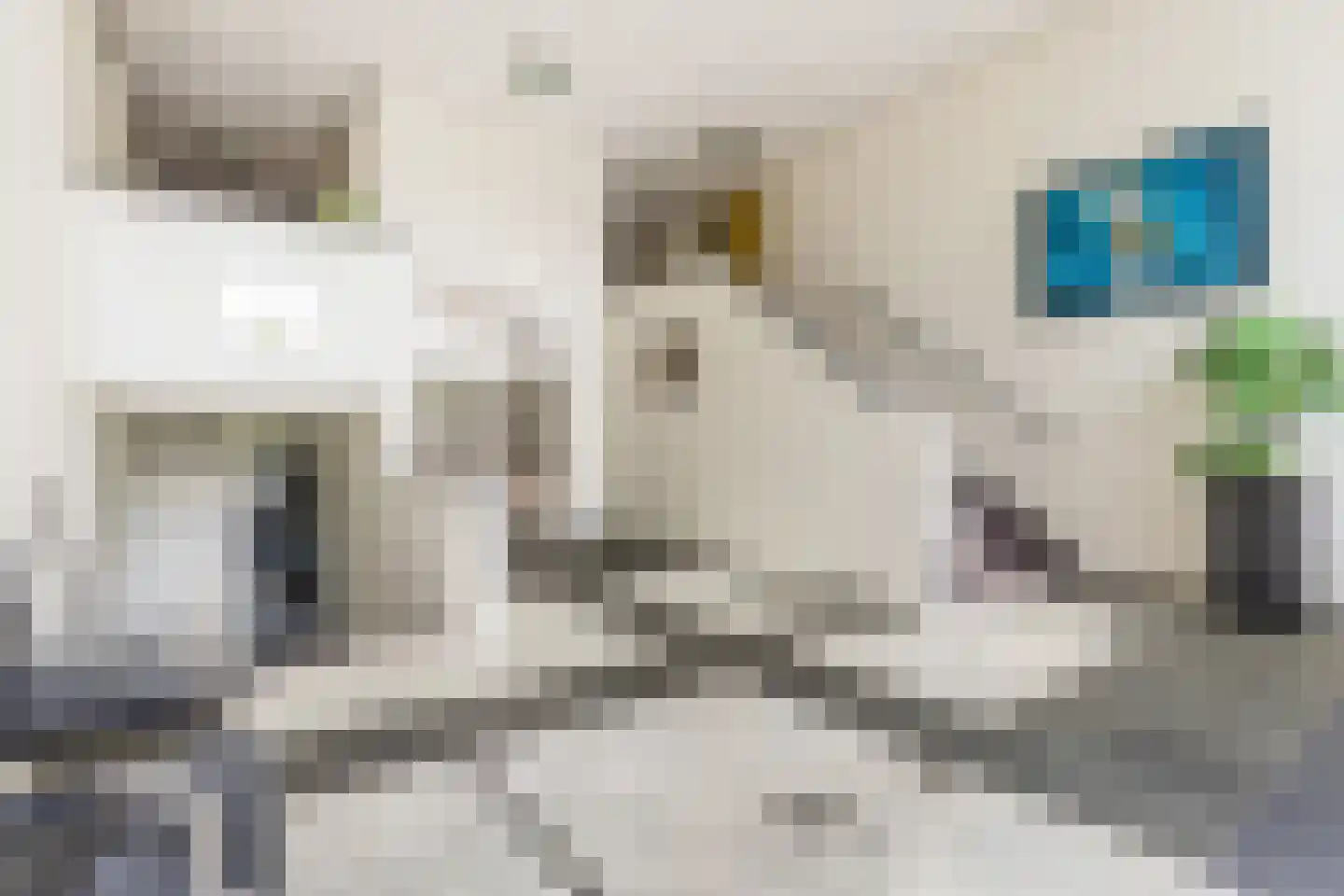 Verdistraat 179 Zutphen thumbnail 7