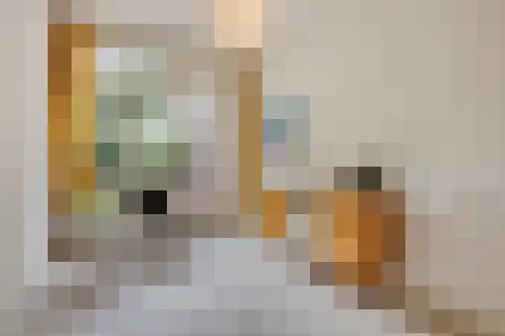 Verdistraat 18 Den Haag thumbnail 9
